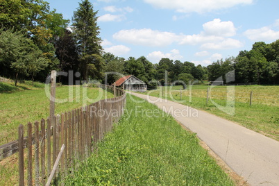 Summer landscape