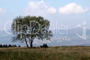 Landscape with a tree