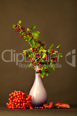 Vase with twigs and berries