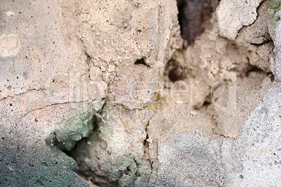 classic grunge texture of aging painted wall