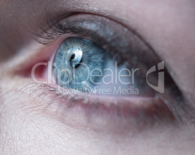 Close up Gray Eye of a Woman Looking Up