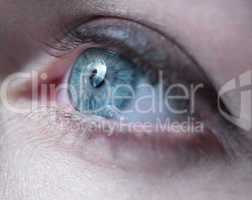 Close up Gray Eye of a Woman Looking Up