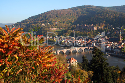 Heidelberg, Germany.