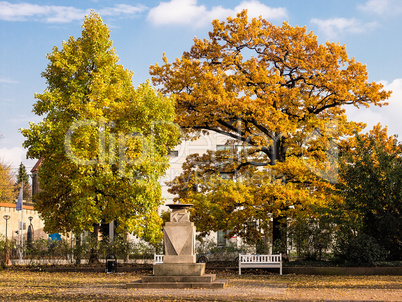 Der Rosengarten in Rostock