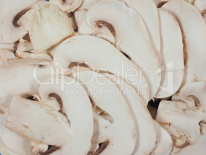 Champignon mushroom background