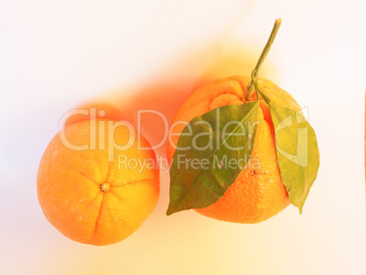 Orange fruit