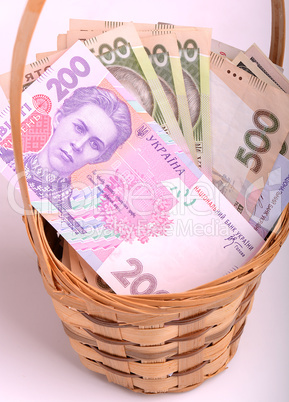 money set in a basket, ukrainian money