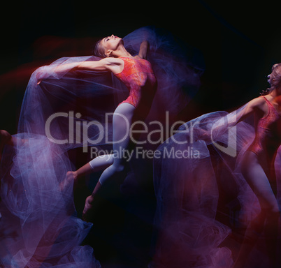 photo as art - a sensual and emotional dance of beautiful ballerina through the veil