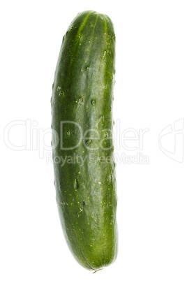 Cucumber Cucumber