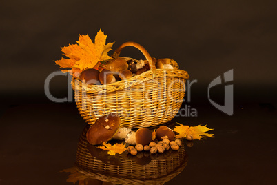 Basket with mushrooms