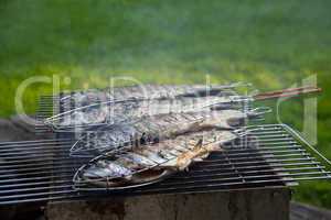 Fish grill