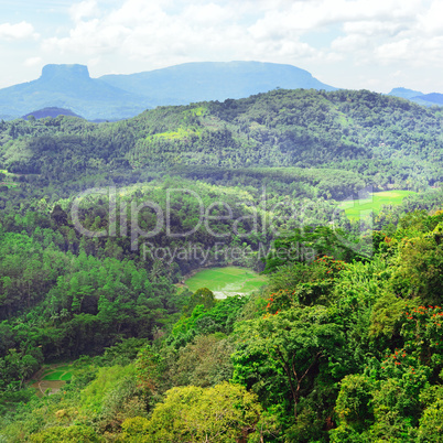 Mountains on island of Sri Lanka