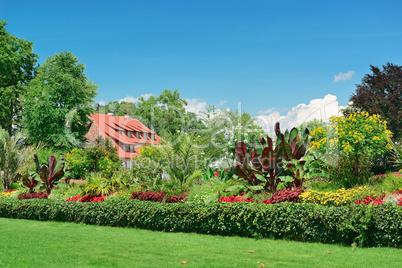 picturesque lawn in the park