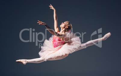 Beautiful female ballet dancer on a grey background. Ballerina is wearing  pink tutu and pointe shoes.