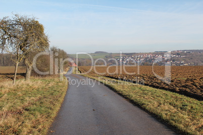 Landscape with road and trees