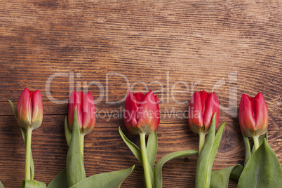 Reihe von Tulpen auf dunklem Holz