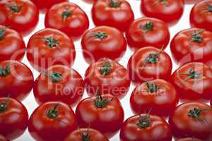Tomaten isoliert auf weiss