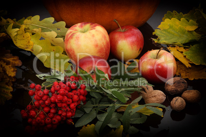 Autumn Still Life