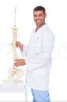 Chiropractor showing spine model to camera