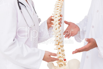 Doctors discussing spine model