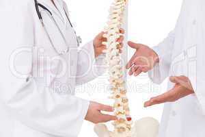 Doctors discussing spine model