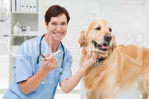 Veterinarian examining mouth of a cute dog