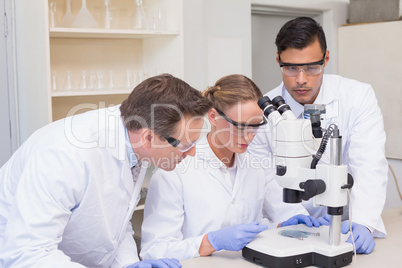 Concentrated scientists working together with microscope