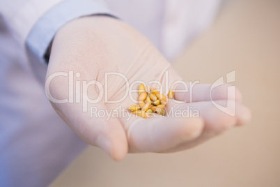 Scientist holding seed