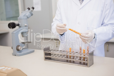 Scientist holding corn in tube