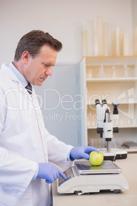 Scientist weighing apple