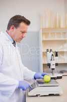 Scientist weighing apple