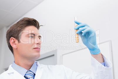 Scientist holding test tube with corn inside