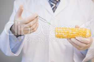 Food scientist examining corn