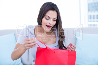 Smiling beautiful brunette sitting on the couch with shopping ba