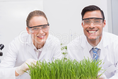 Smiling scientists examining plants