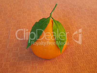 Orange fruit