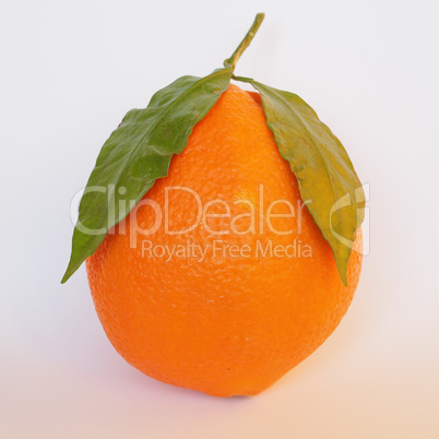 Orange fruit