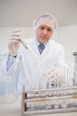 Scientist doing experimentations in petri dish