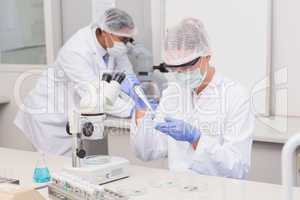 Scientist examining petri dish