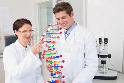 Smiling scientists working attentively with dna model
