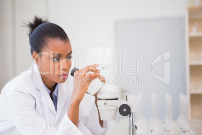Scientist looking in microscope