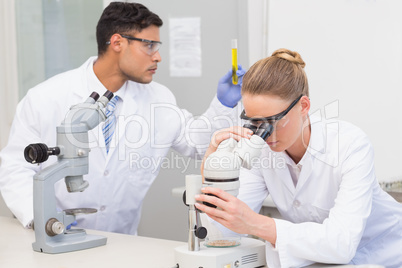 Scientists using microscope