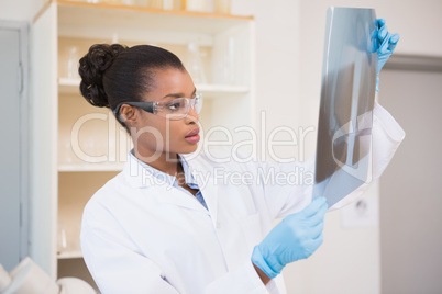Concentrated scientist looking at x-ray