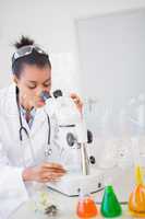Scientist looking at petri dish under microscope