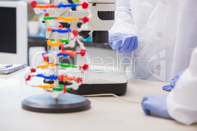 Scientists examining petri dish in microscope