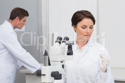 Scientists working with microscope and computer