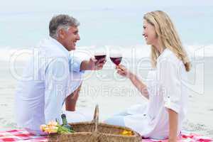 Happy couple toasting with red wine during a picnic