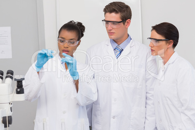 Scientists looking at experimentation