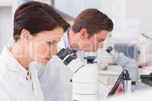 Scientists looking attentively in microscopes