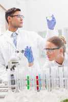 Focused scientists examining test tube and beaker